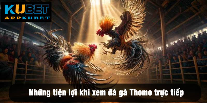 Những tiện lợi khi xem đá gà Thomo trực tiếp