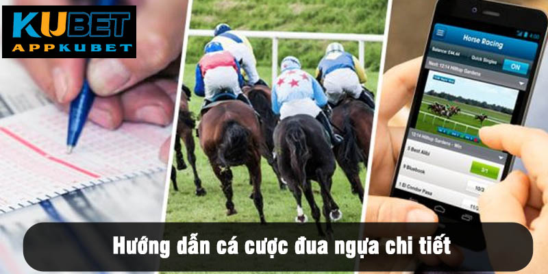 Hướng dẫn cá cược đua ngựa chi tiết
