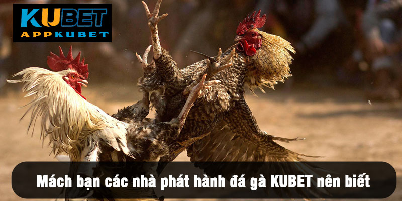 Đa dạng chương trình khuyến mãi khuyến khích người chơi