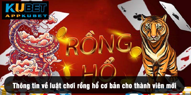 Luật chơi rồng hổ cơ bản cho thành viên mới