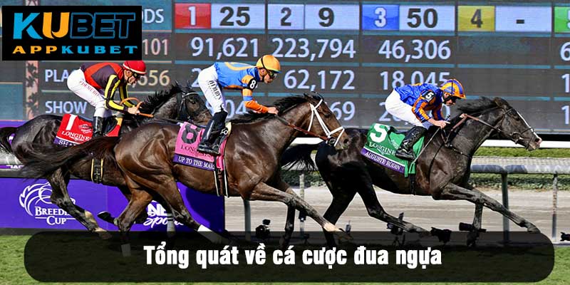 Tổng quát về cá cược đua ngựa